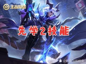 新特工技能爆料视频大全,视频大全深度解析