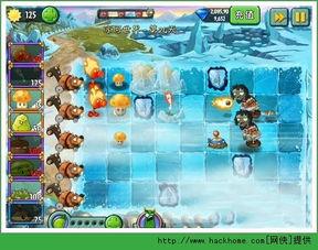 闪电芦苇最新爆料,娱乐圈最新爆料大起底