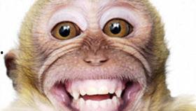 搞笑视频段子热点爆料