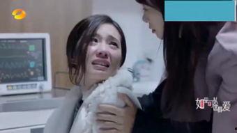 天注定 在线观看,命运交织的悬疑之旅