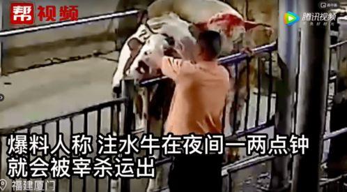 黑马情侣被爆料视频,甜蜜瞬间引网友热议