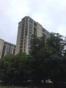 商丘最新爆料小区,揭秘热门小区背后的故事与魅力