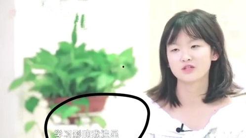 圈内大佬爆料娱乐圈,圈内大佬爆料，明星幕后真相大曝光