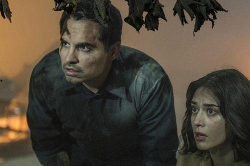 灭绝电影在线观看