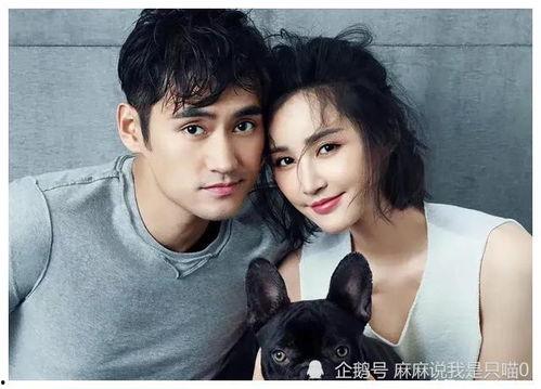 最近爆料的娱乐,神秘事件背后真相揭晓！