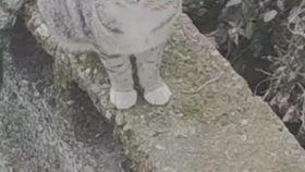 太华爆料视频最新版,惊人内幕曝光！