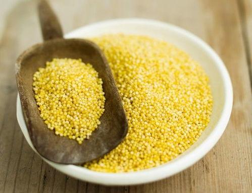 小米爆料大米视频大全,大米视频大全背后的精彩故事