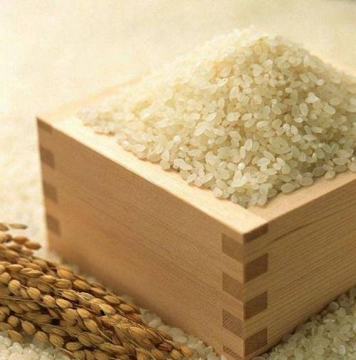 小米爆料大米视频大全,大米视频大全背后的精彩故事