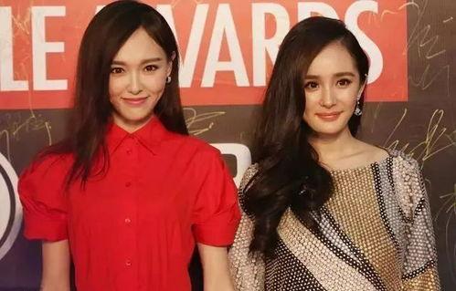 娱乐圈的塑料姐妹爆料,娱乐圈塑料姐妹花真相大揭秘